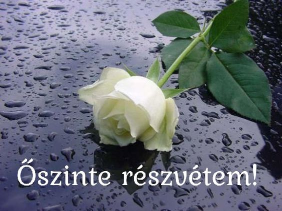 Meghalt ma hajnalban a magyar zenész